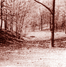 Old road laid out by Chism Estes